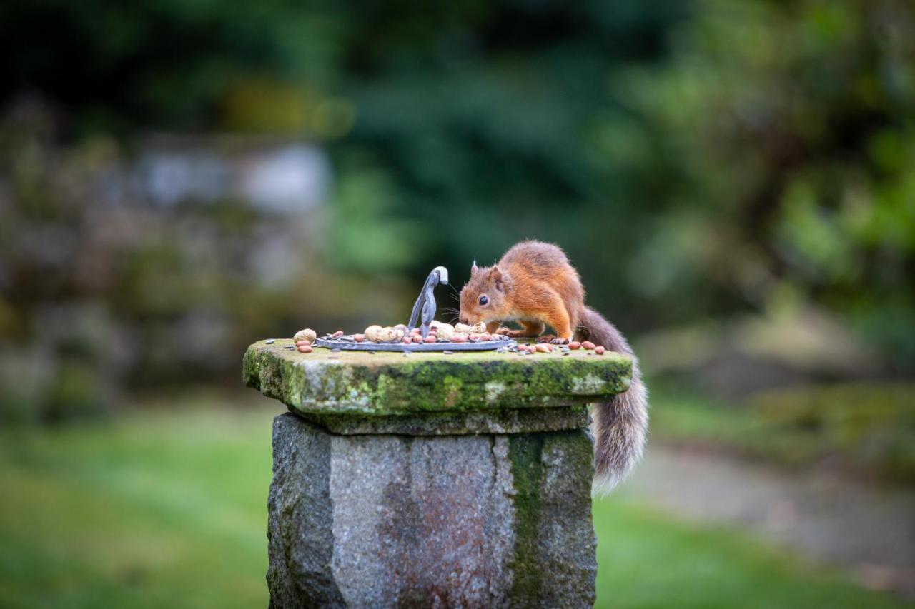 Haweswater Hotel Bampton  Luaran gambar